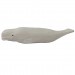 https://k-play.co.uk/image/cache/catalog/wudimals/facingleft/40824_beluga%20whale_L%20copy-75x75.jpg