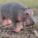 Wudimals® Hippopotamus