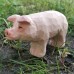 Wudimals® Pig