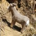 Wudimals® Goat