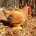 Wudimals® Chicken