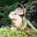 Wudimals® Hare