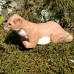 Wudimals® Stoat