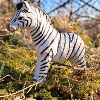 40485_zebra-foal-416x416