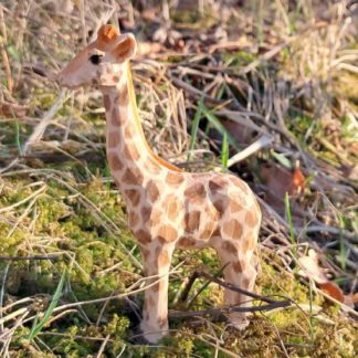 40488_giraffe-calf-416x416