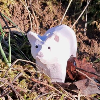 40611_piglet