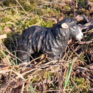 40613_black-sheep-416x416