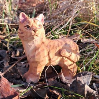 40622_ginger-cat-416x416