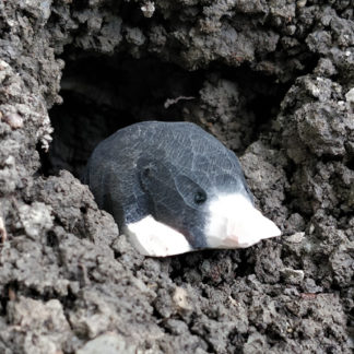 Wudimals® Mole