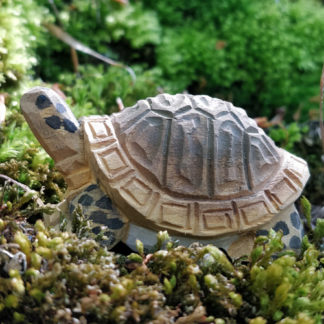 Wudimals® Tortoise