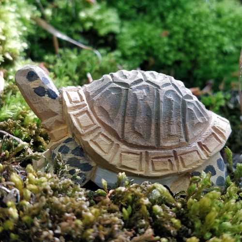 Wudimals® Tortoise