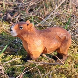 40727_capybara
