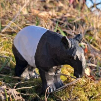 40729_tapir