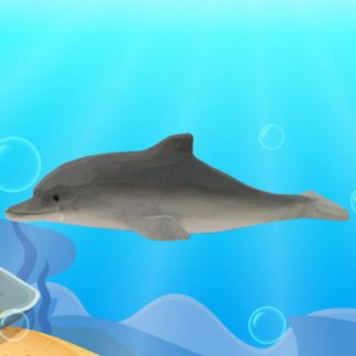 40804_dolphin