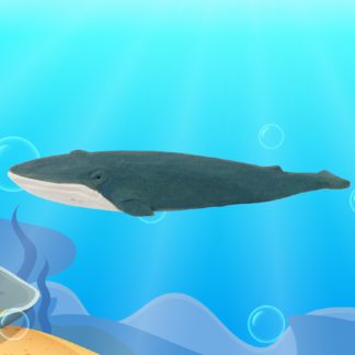 whale