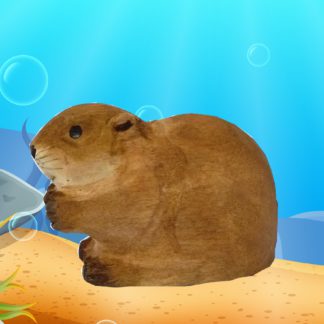 beaver