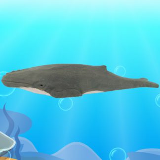 whale